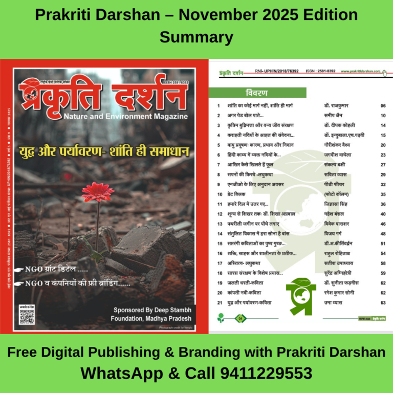 PD NOV SUMMARY IMAGE